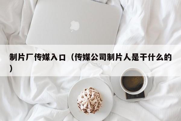 制片厂传媒入口（传媒公司制片人是干什么的）