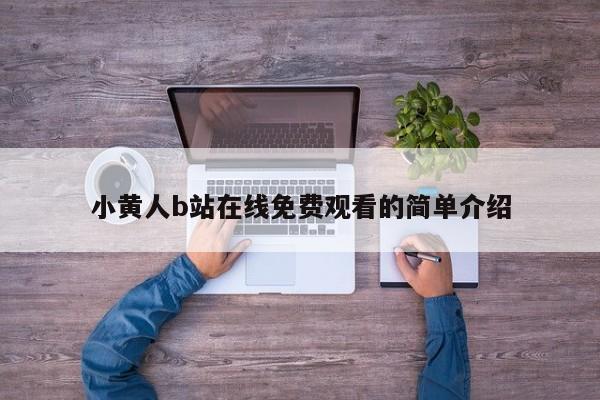 小黄人b站在线免费观看的简单介绍