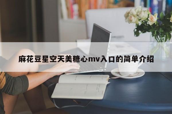 麻花豆星空天美糖心mv入口的简单介绍