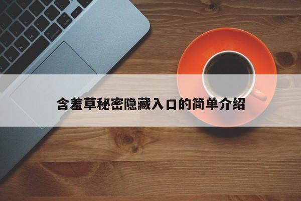含羞草秘密隐藏入口的简单介绍